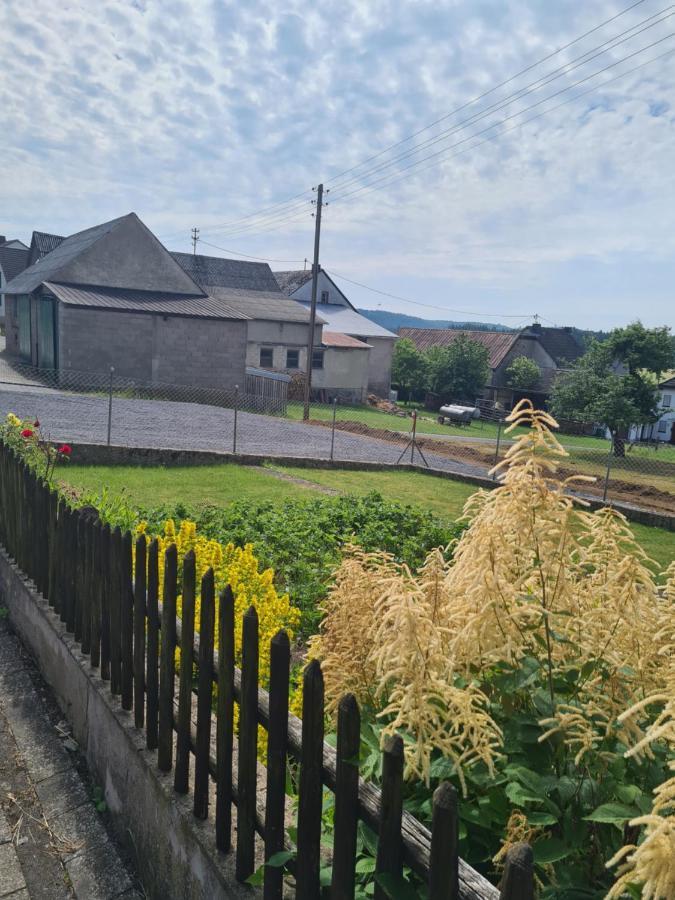 Drees Pension Larifari מראה חיצוני תמונה